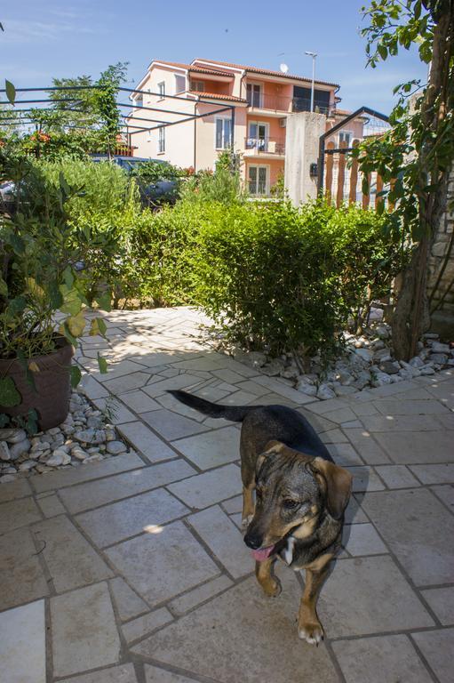 Apartman Arijana 3 メドゥリン エクステリア 写真
